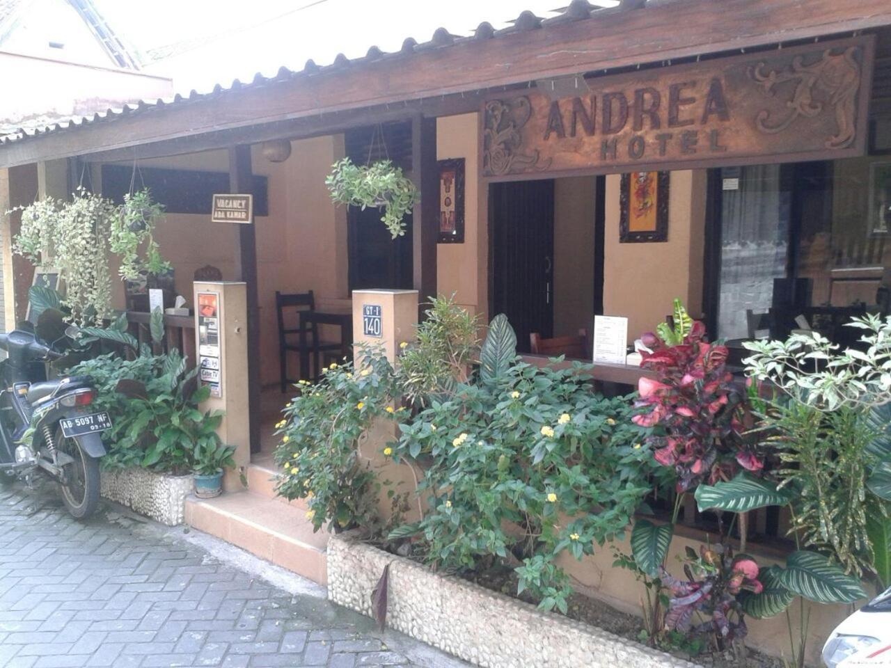 Andrea 2*